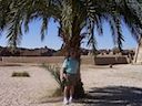 100_1386.JPG