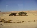DSC00373.JPG