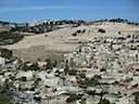 DSC00590.JPG