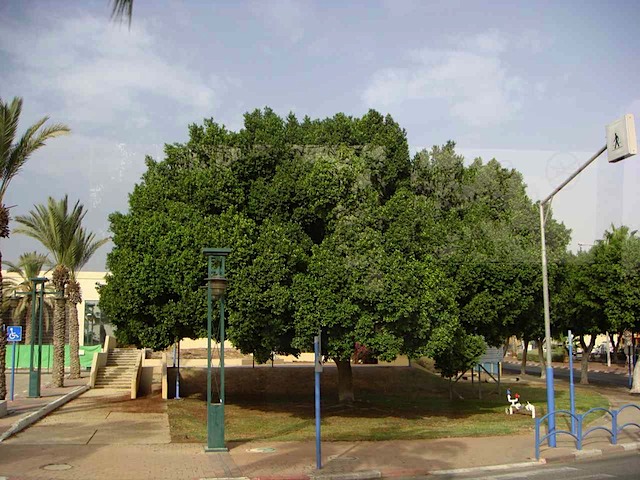DSC00830.JPG