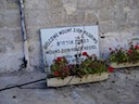 DSC00855.JPG