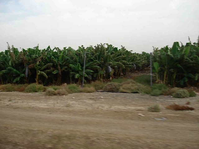 DSC02447.JPG