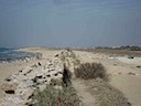 DSC02636.JPG