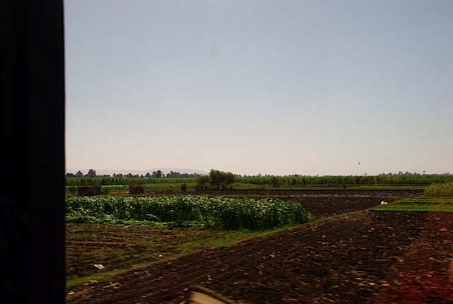 DSC_5074