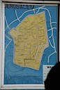 DSC_5994