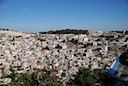 DSC_6004.JPG