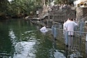 DSC_6550.JPG