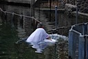 DSC_6613.JPG