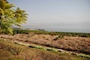 DSC_6671.JPG