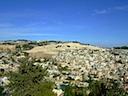 DSCF1450.JPG