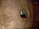 DSCF1466.JPG