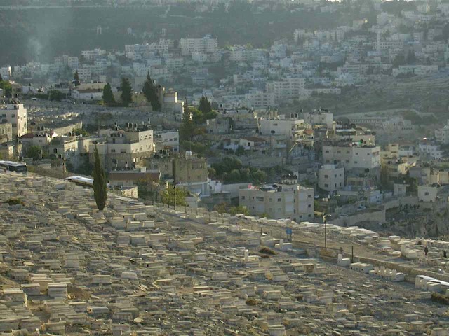 HPIM0777.JPG