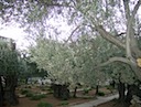 HPIM0791.JPG