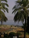 HPIM0937.JPG