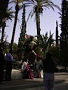 HPIM0944.JPG
